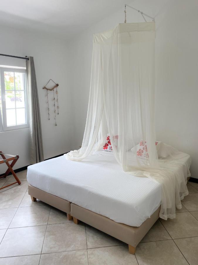 Hibiscus Beach House photo