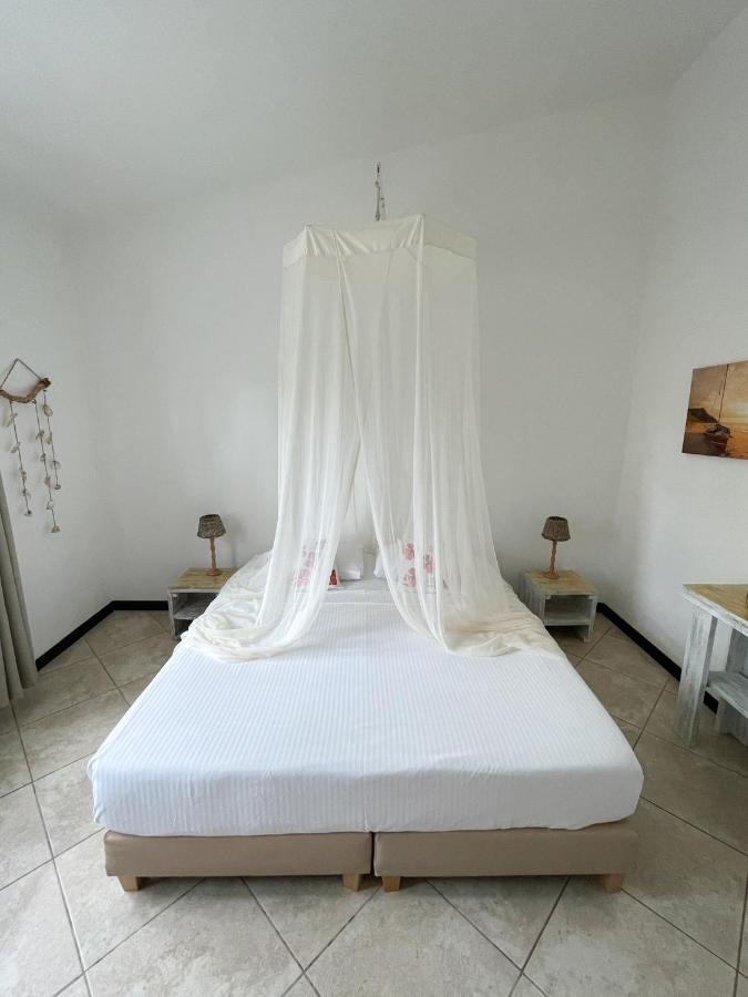 Hibiscus Beach House photo