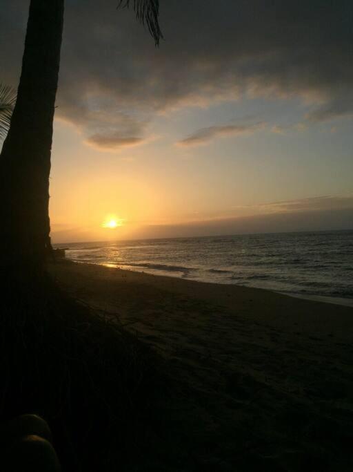 Beach: Yaeliz Front Beach