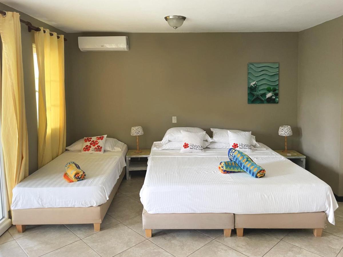 Hibiscus Beach House photo
