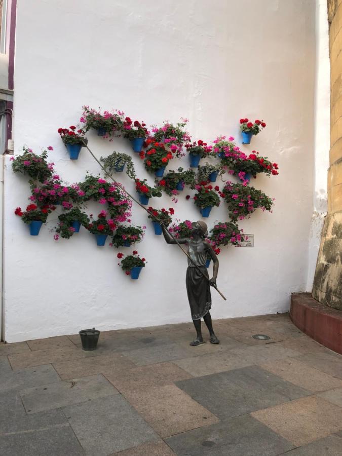 La Regaora apartamento, Córdoba – Updated 2022 Prices