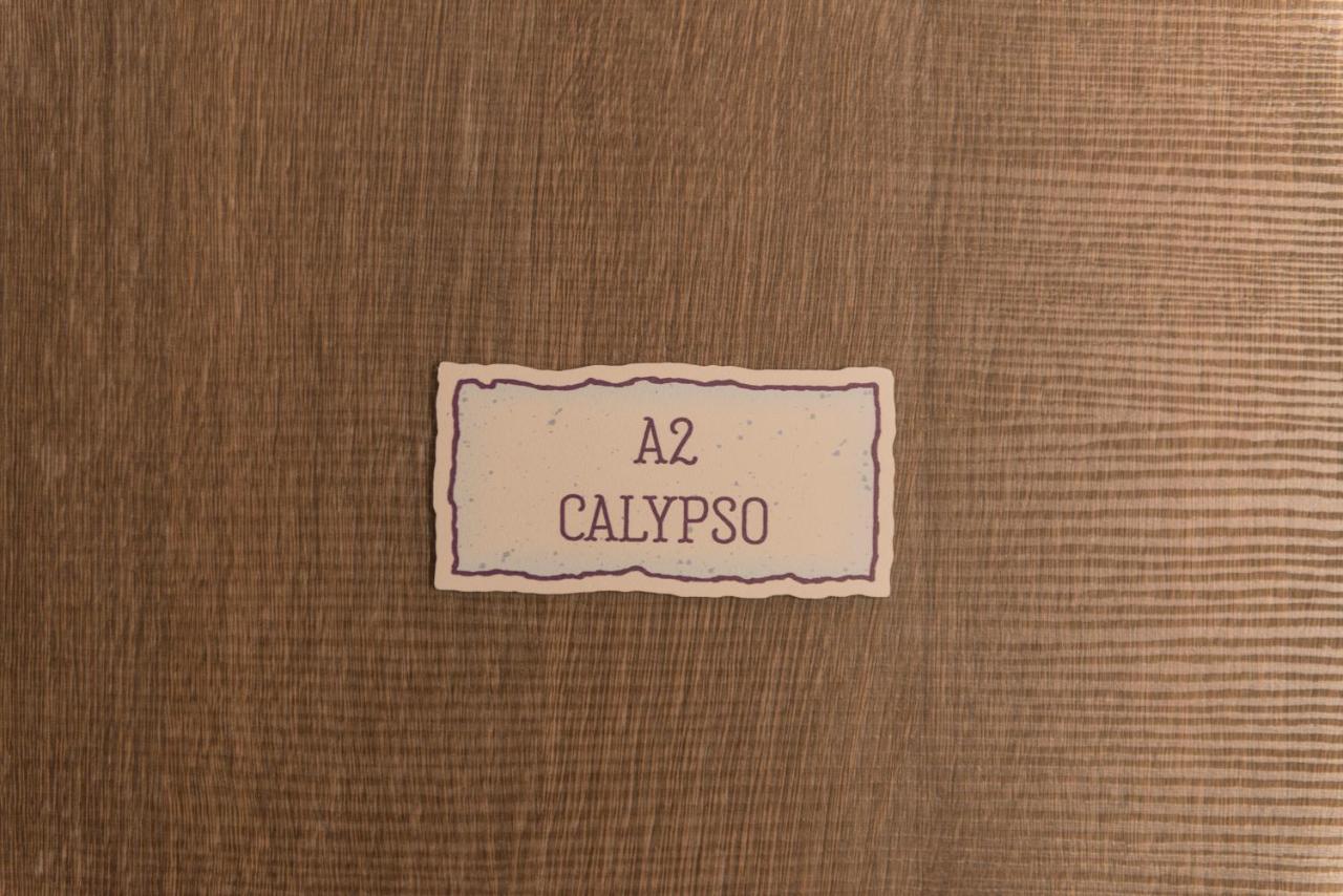 Calypso 5