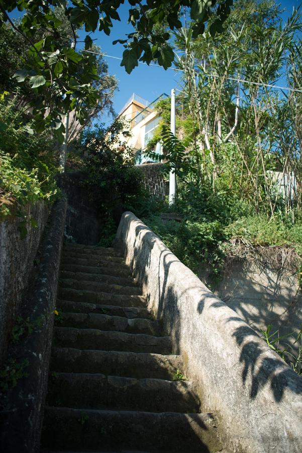 Punta Lingua Relais- Room 1 Sunrise Terrace photo