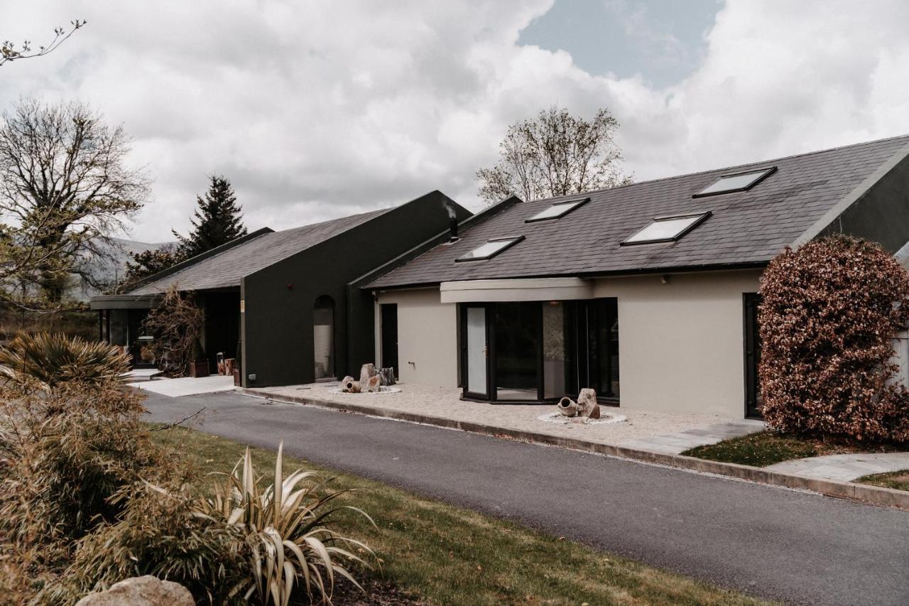 Modern bungalow with large windows, a dark green exterior wall, and a well-maintained garden.