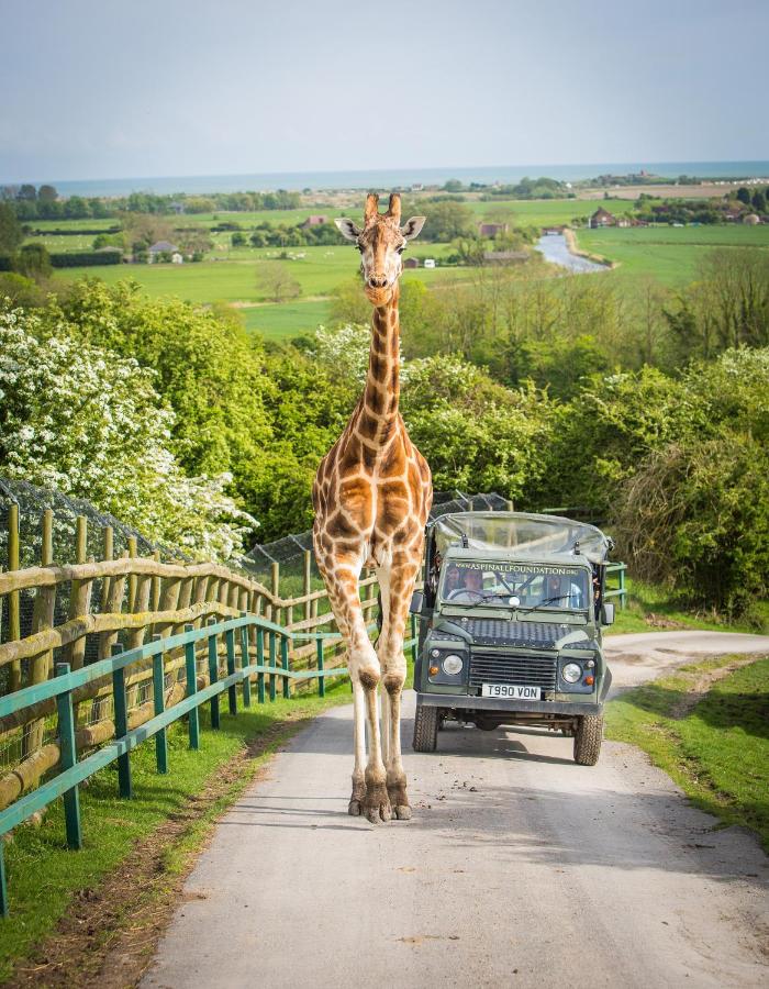 Port Lympne Mansion Hotel, Hythe – Updated 2023 Prices Port Lympne Mansion Hotel, Hythe – Updated 2023 Prices
