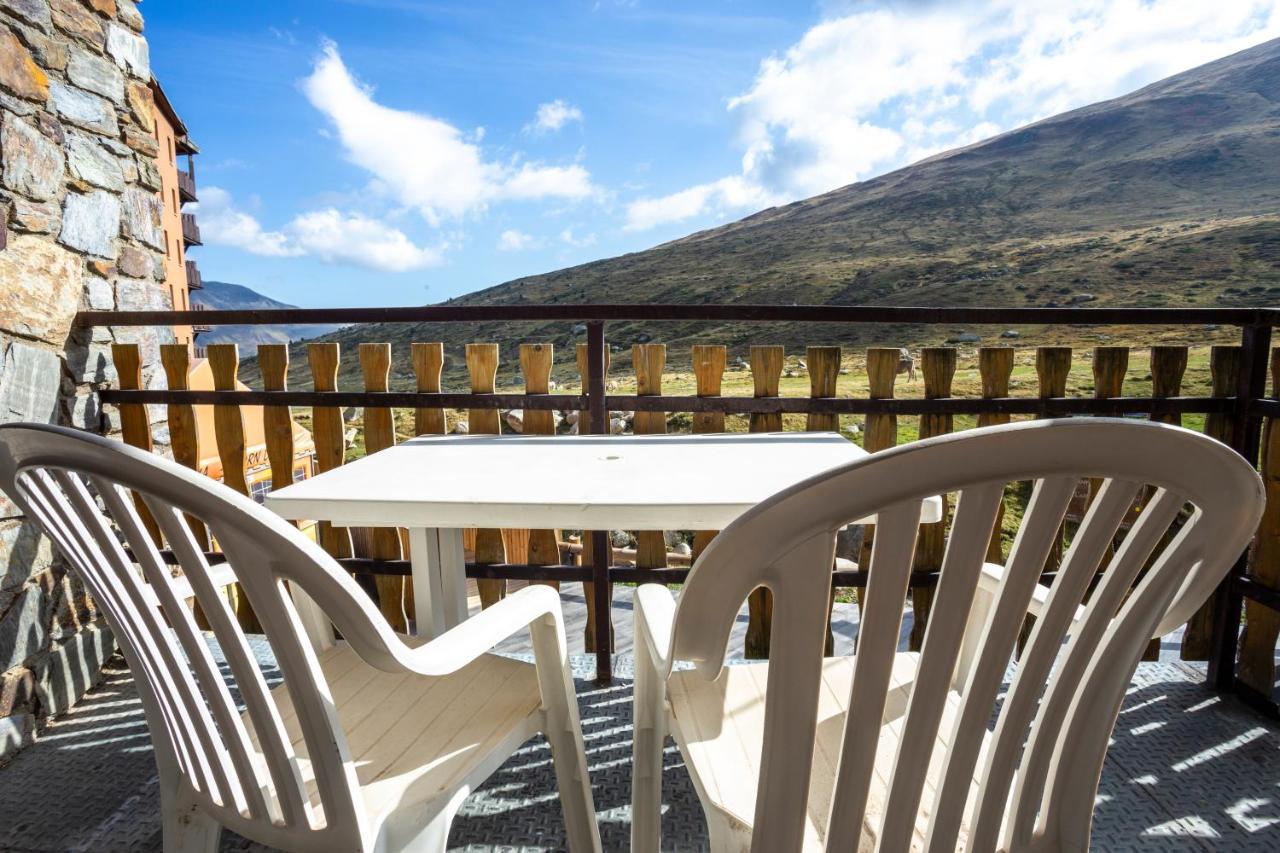 Tetras Pedrous static_photo