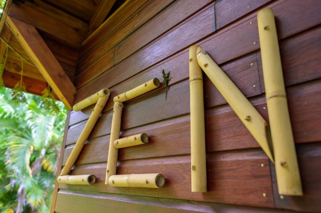 Spa hotel: Tropicangel & SPA