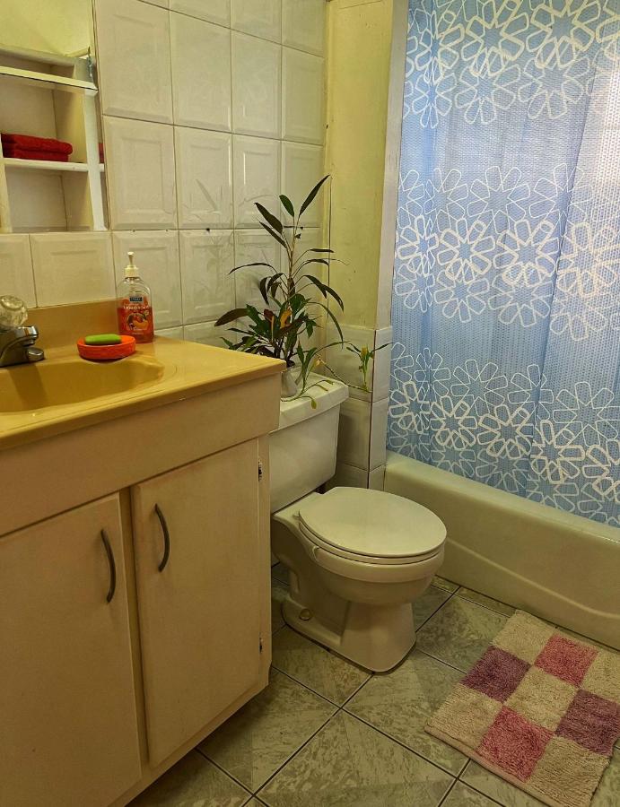 Villa Caribbean Dream - 5