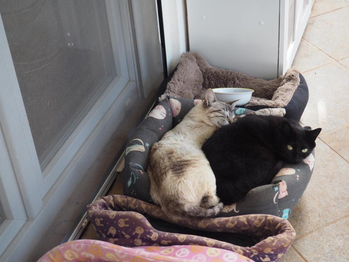 Tiny house glamping - 3