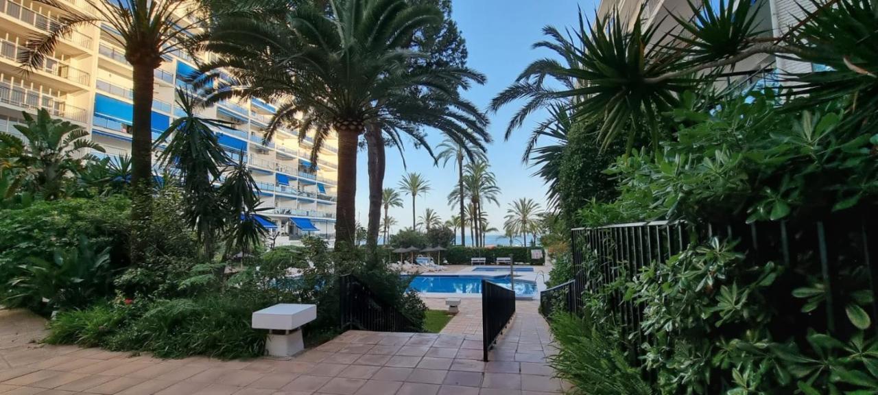 SOAS Marbella Skol, Marbella – Updated 2022 Prices