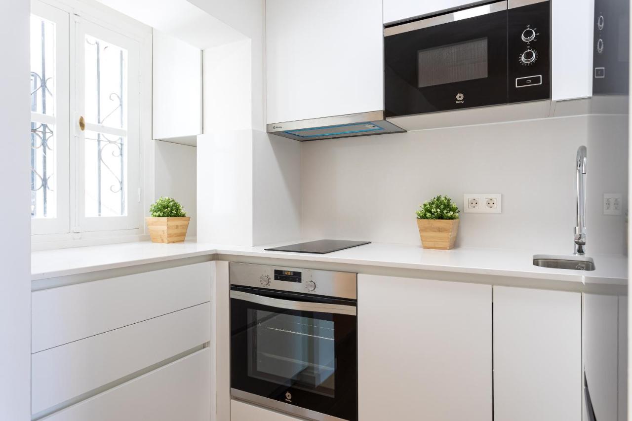 Higueron Rental Playa Mira - 3