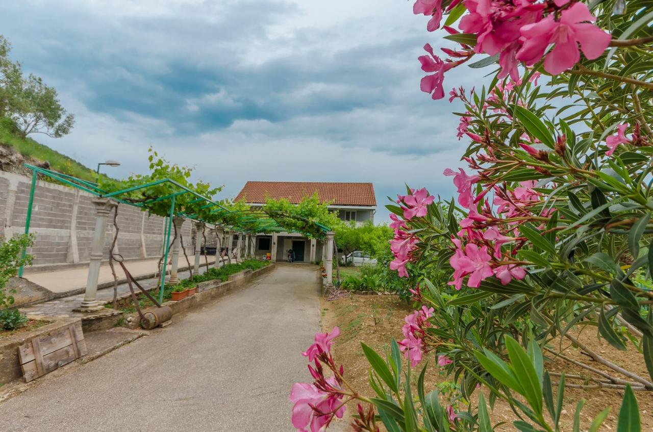 Šibenik photo