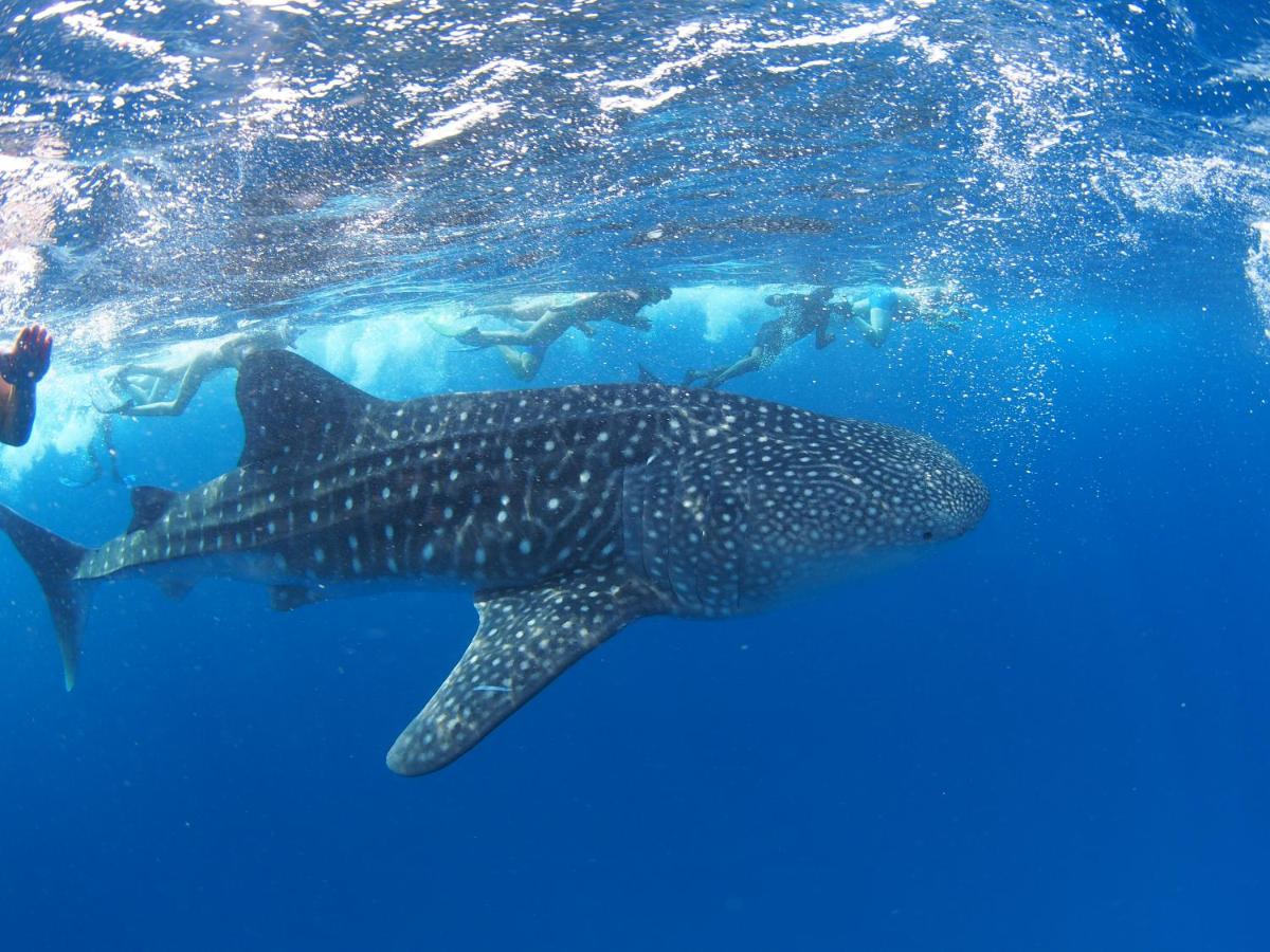 Sunrise by white sand dhigurah - 4