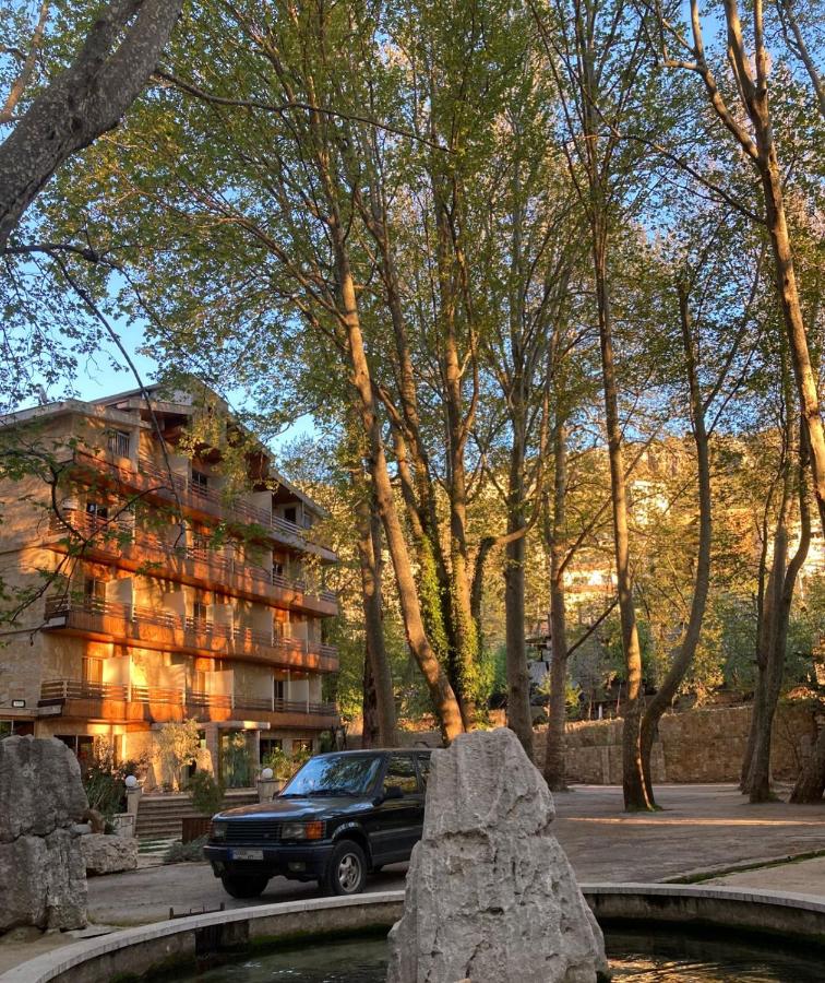 Tamerland-faraya photo