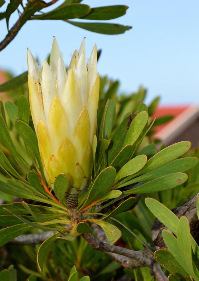 Water park: Eden Guesthouse B&B