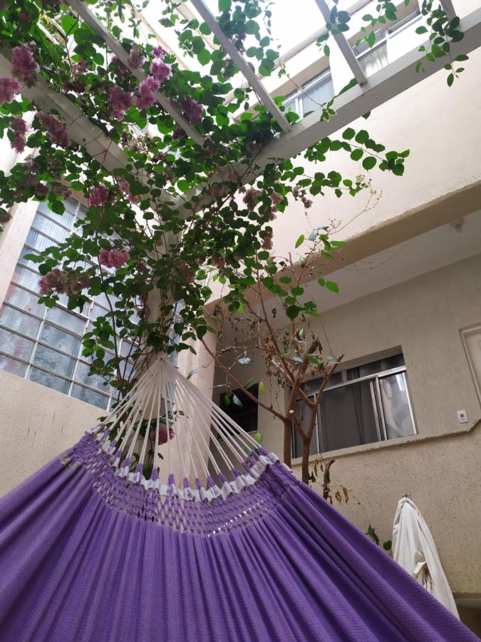 Hostel Ipê photo