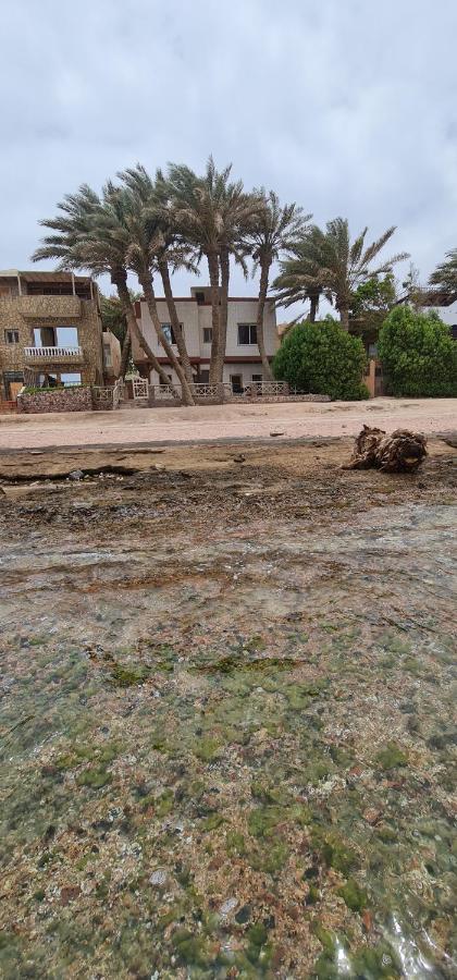Image: Abeed House Dahab