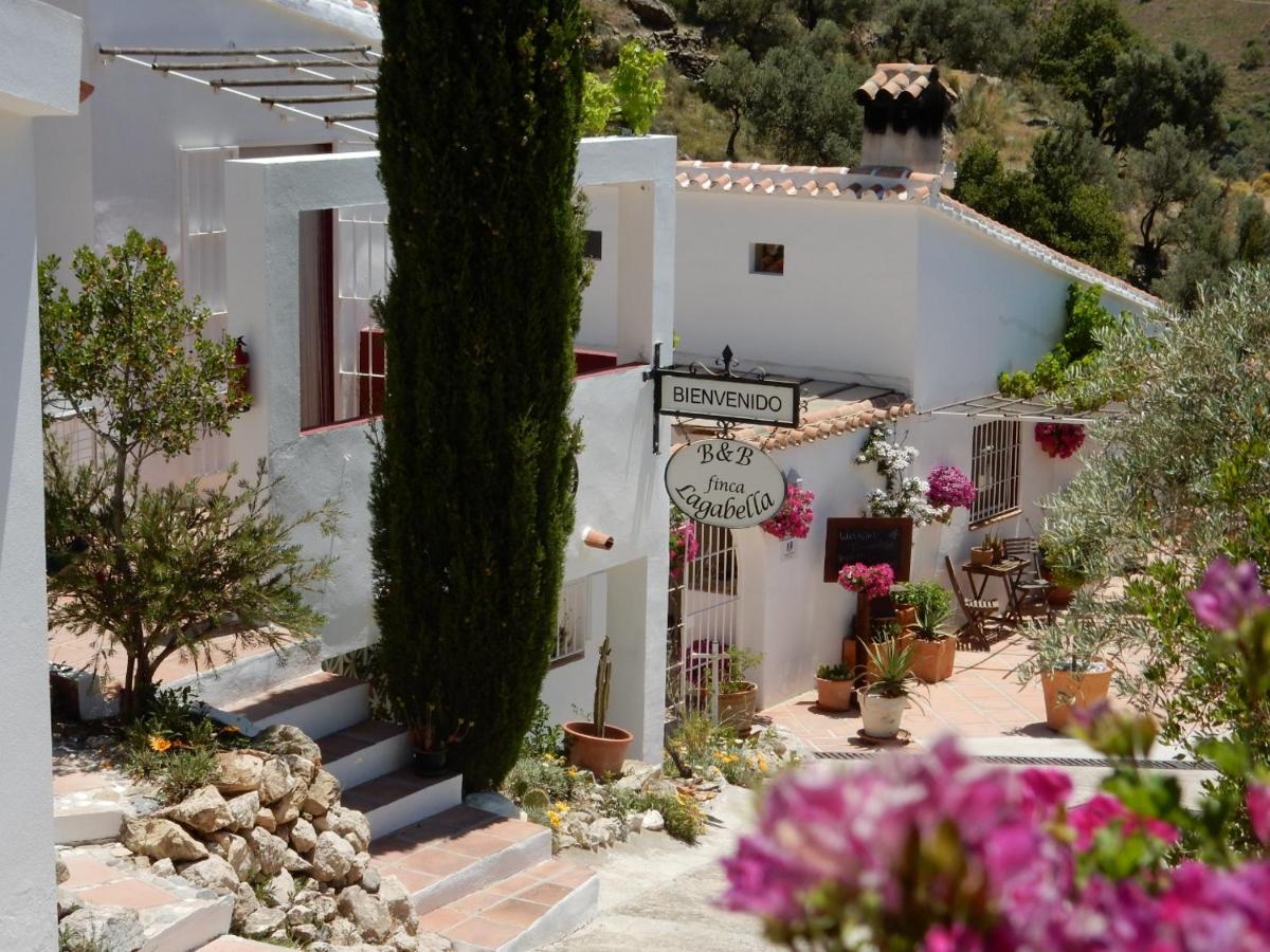Bed and Breakfast Lagabella, Sedella – Updated 2022 Prices