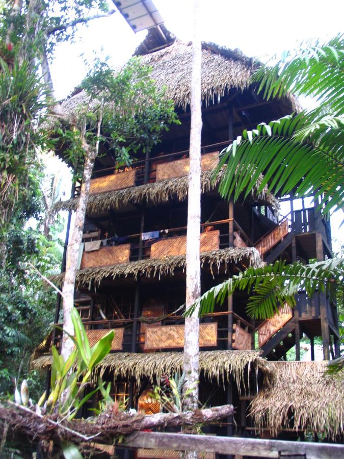 Tapir Lodge in Cuyabeno Ecuador