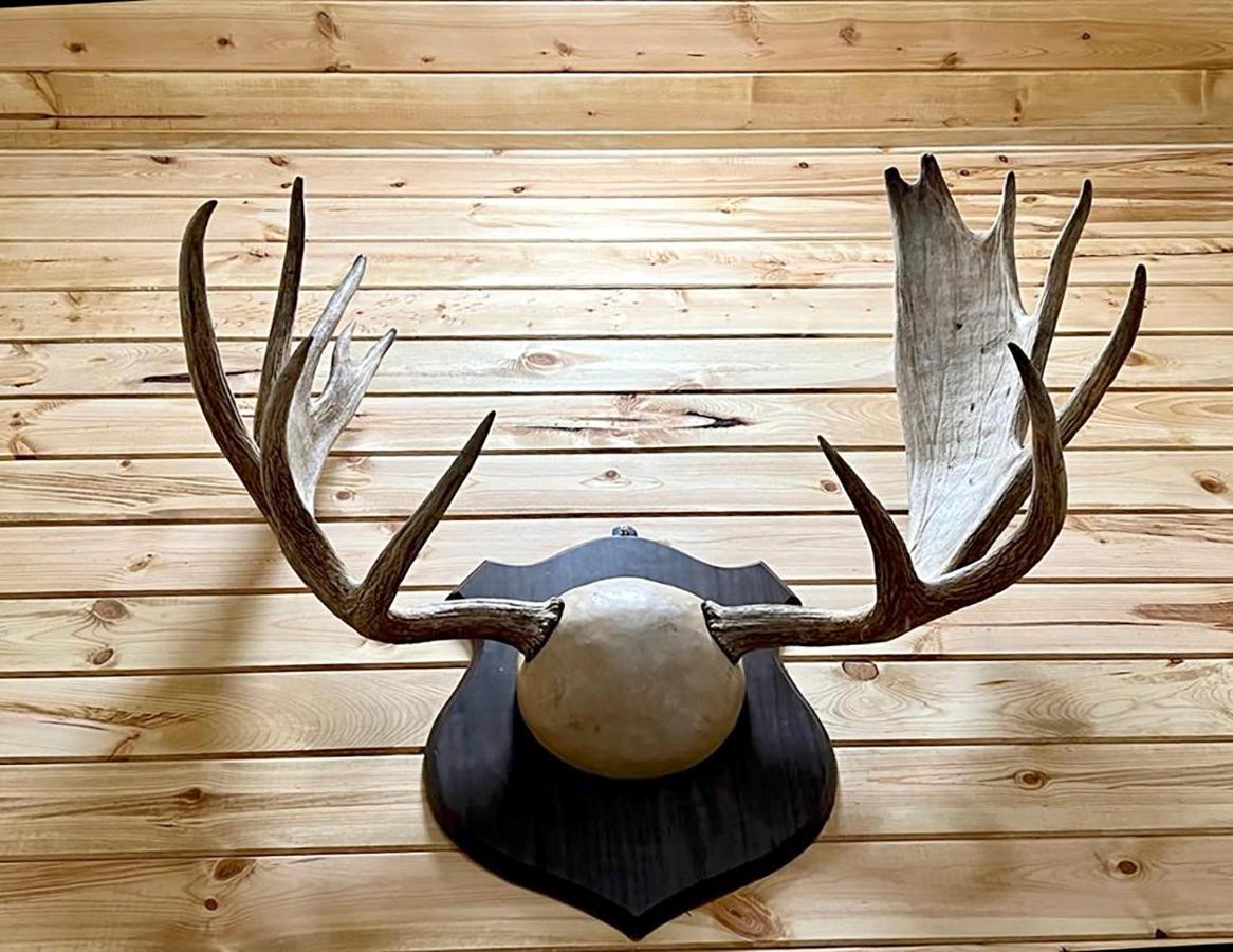 Beartooth Hideaway Inn & Cabins — photo 19