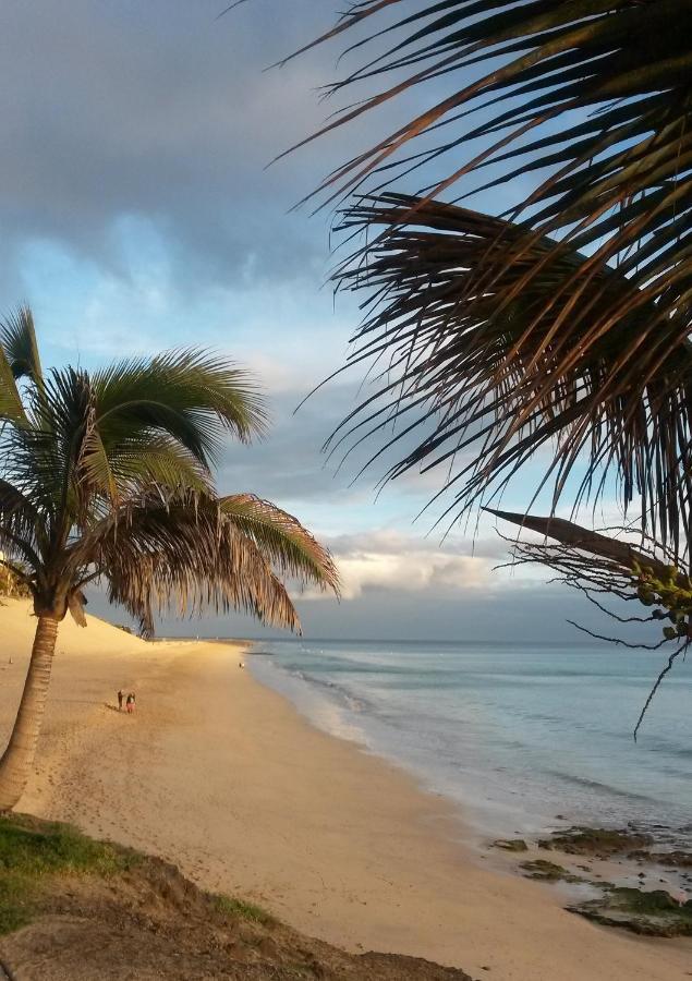 Beach: Apartamentos Palm Garden
