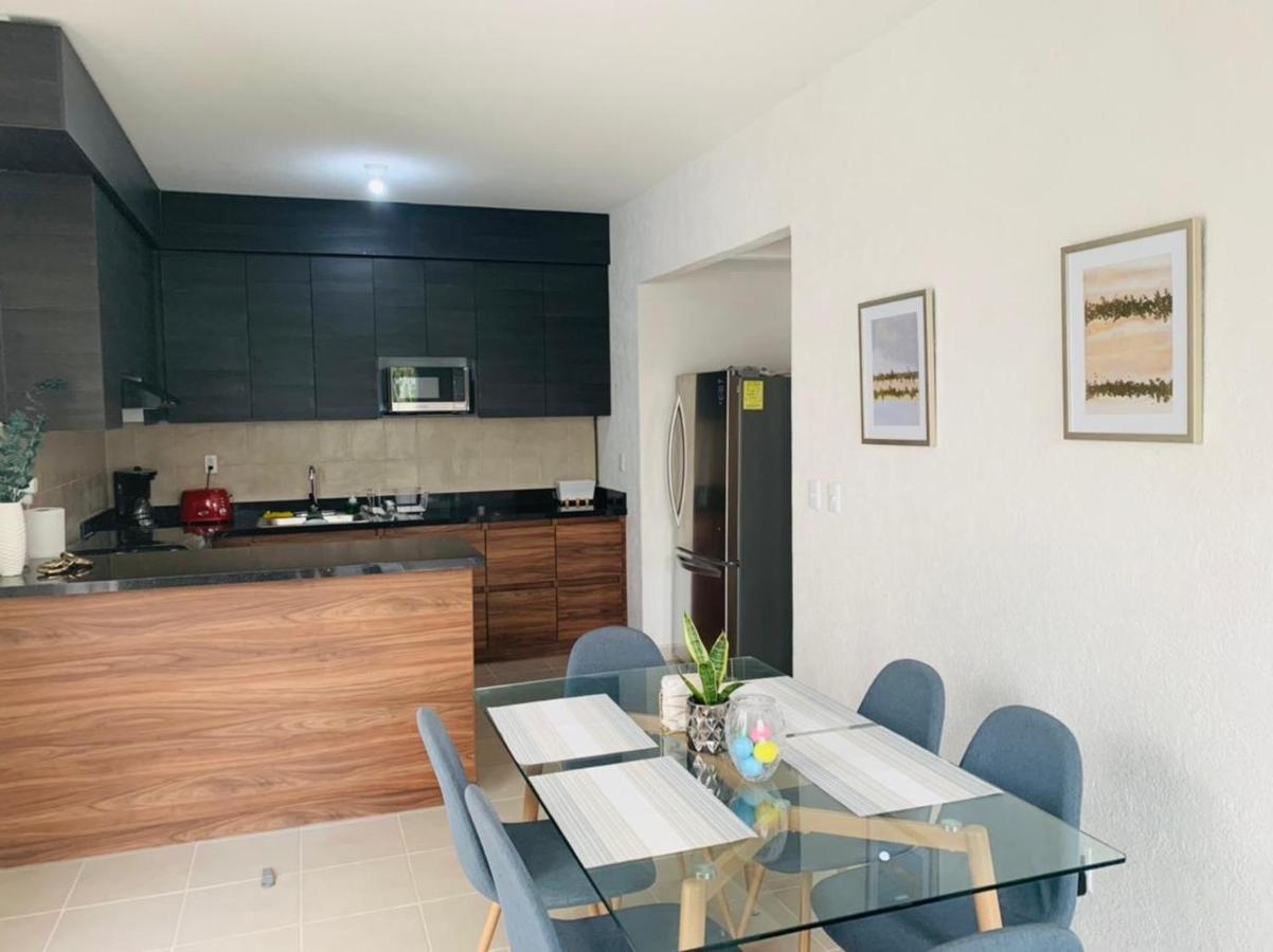 Franks House Apartment "Shared House" - 4