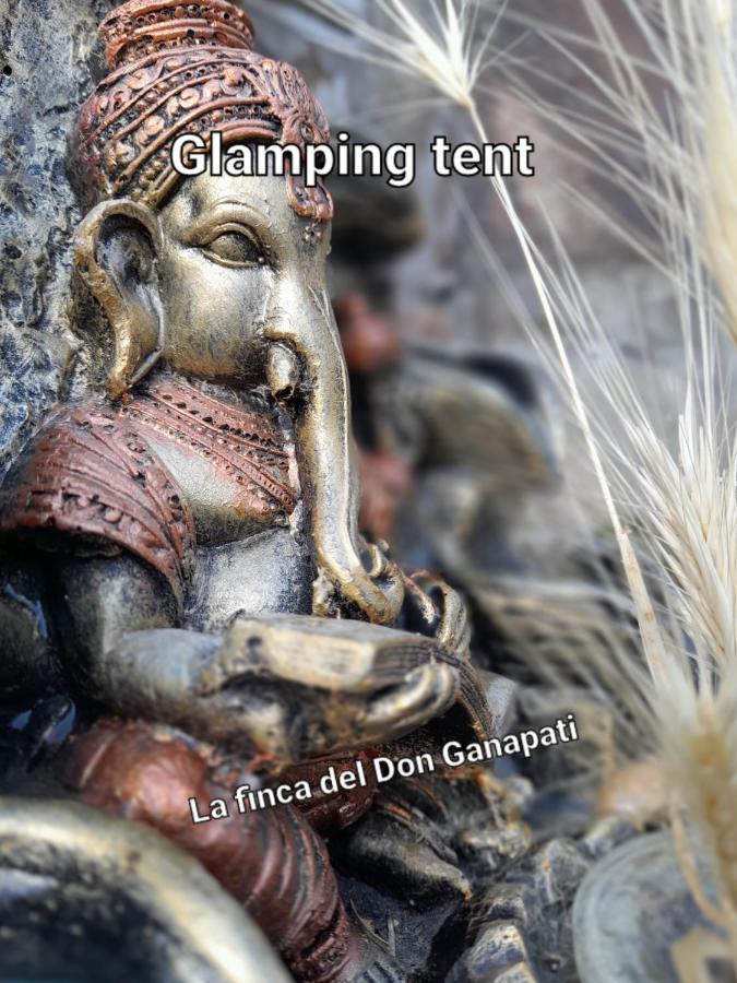 La finca del don Ganapati, San Bartolomé – Bijgewerkte ...