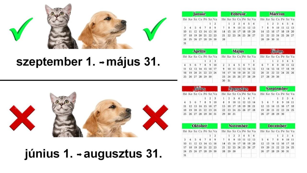 Vadaszles Vendeghaz Bukkszentmarton Updated 23 Prices Vadaszles Vendeghaz Bukkszentmarton Updated 23 Prices