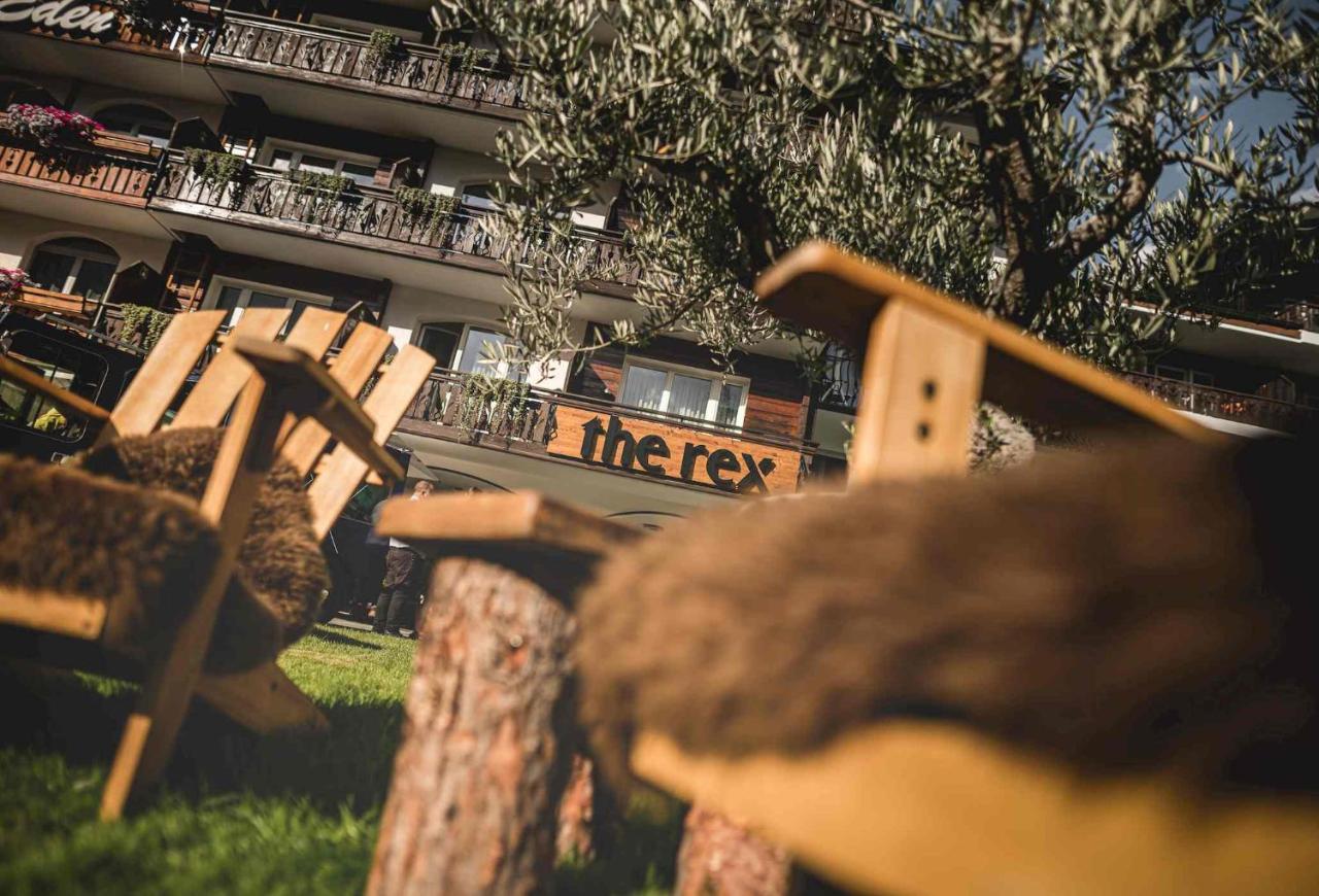 the rex photo