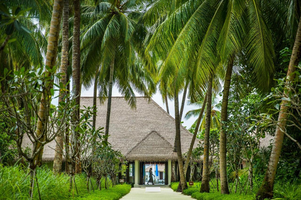 Spa hotel: COMO Maalifushi