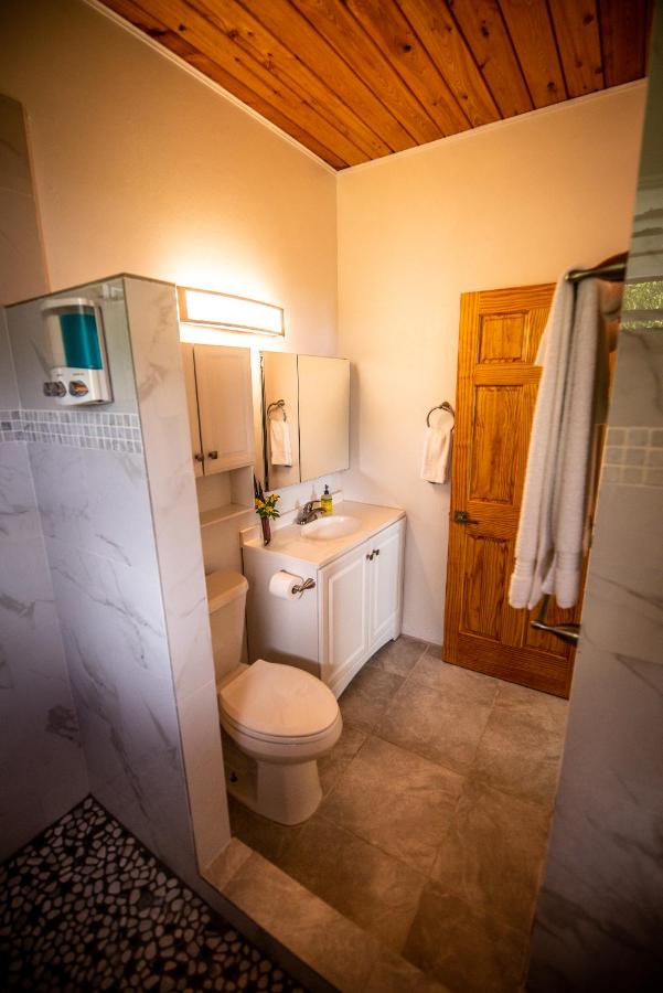 Hibiscus Suite at Sunset Serenade - 3