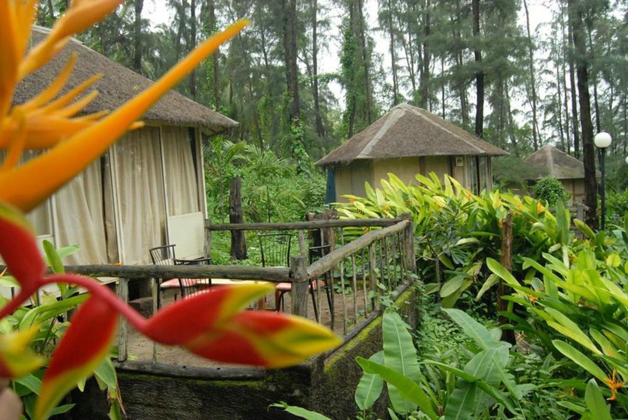 Exotica The Beach Resort Diveagar Updated 22 Prices