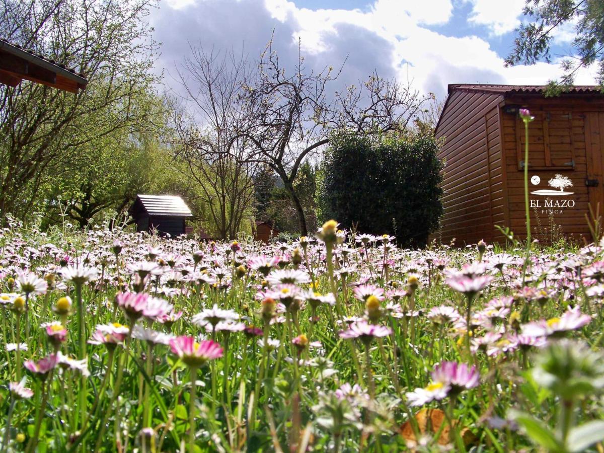 Albergue Finca El Mazo, Rada – Updated 2022 Prices