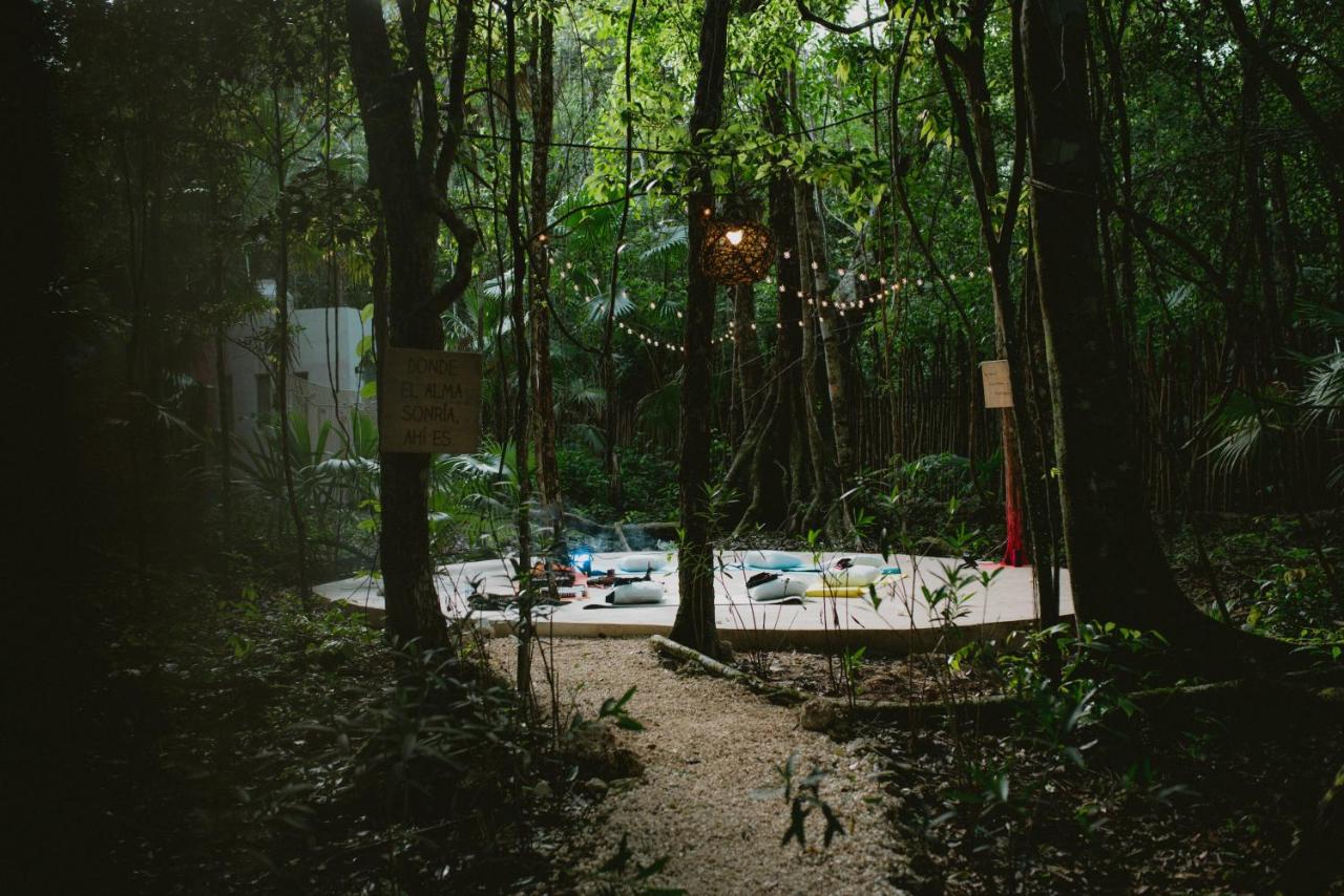 Lunita Jungle Experience photo