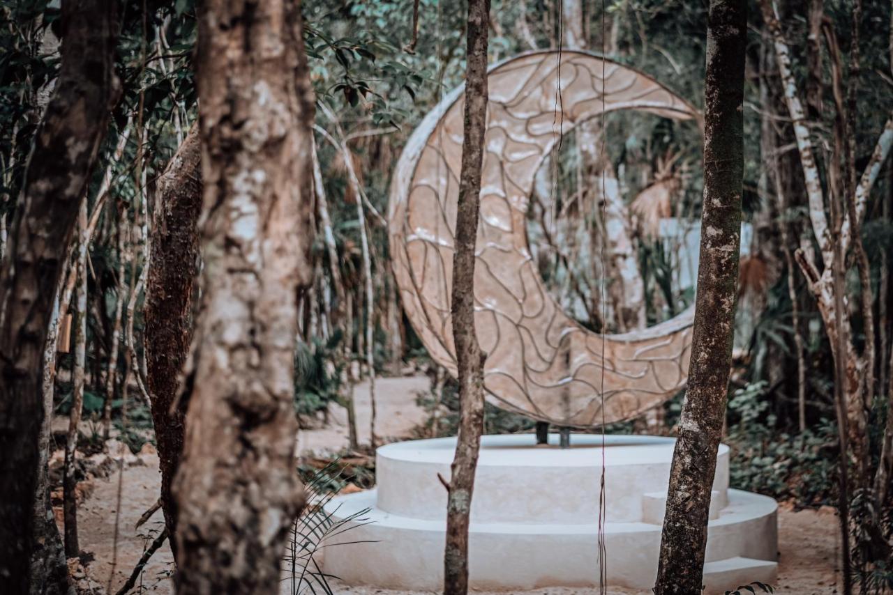 Lunita Jungle Experience photo