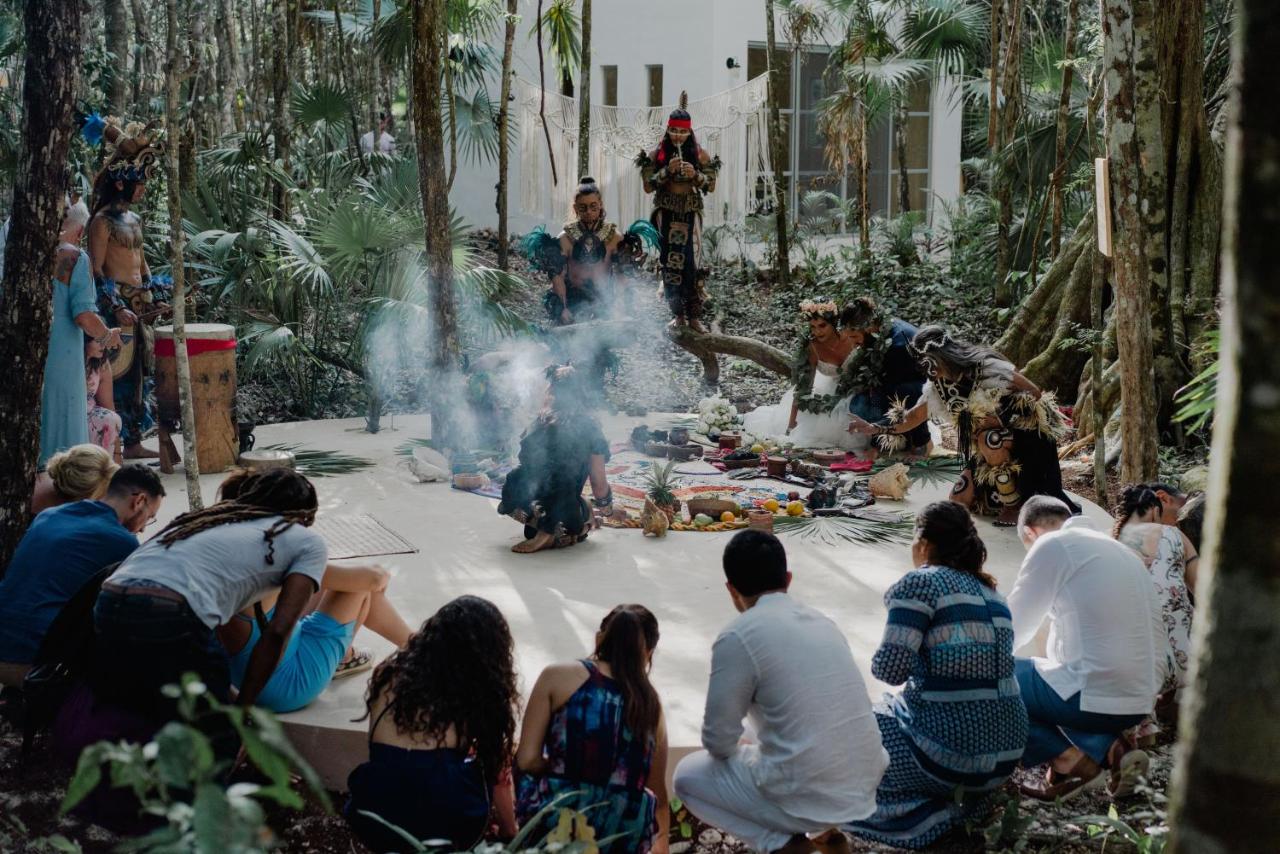 Lunita Jungle Experience photo