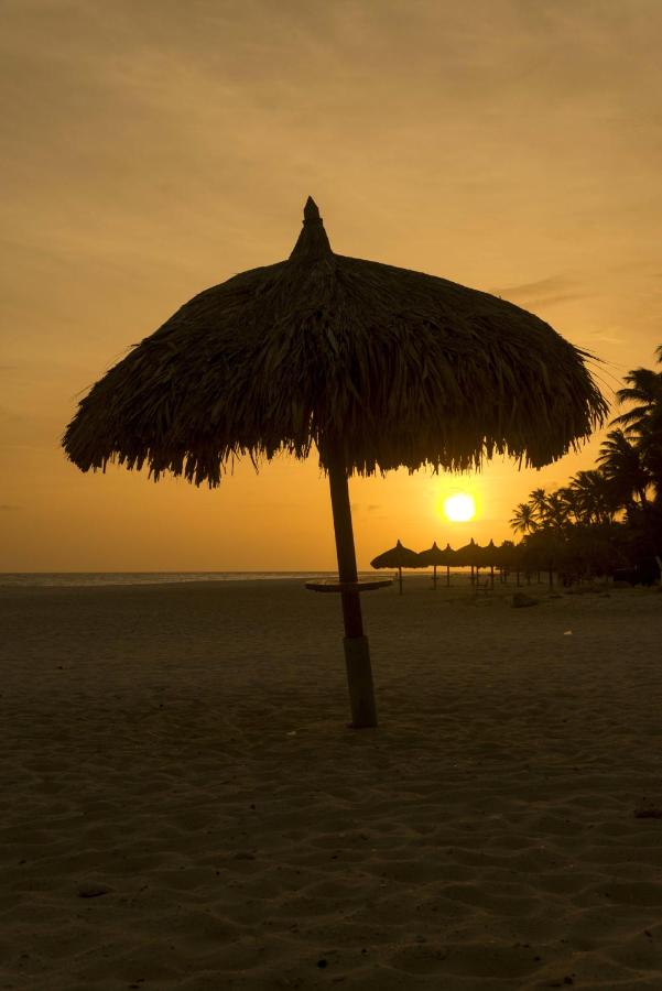 All Inclusive - Divi Dutch Village Beach Resort photo