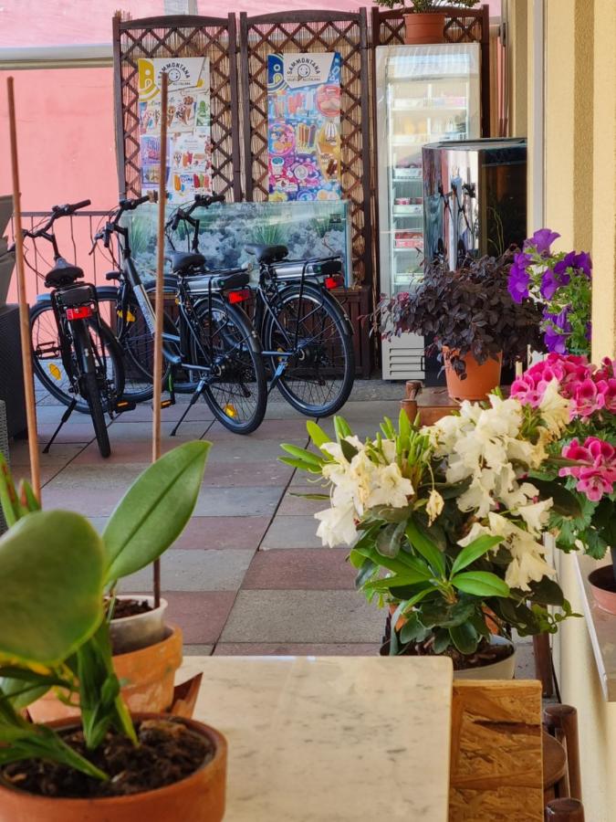 Albergo Stella Di Mare - 5