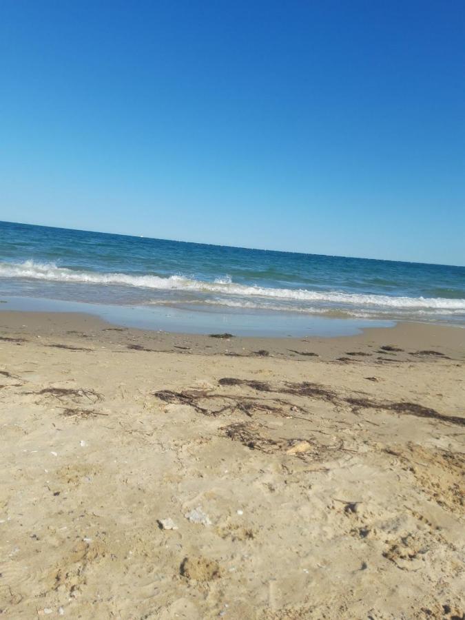 Beach: Salvia