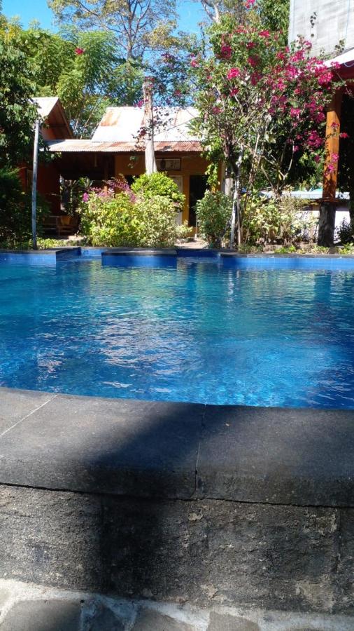 Image: Elephant House and Bungalows Gili Air