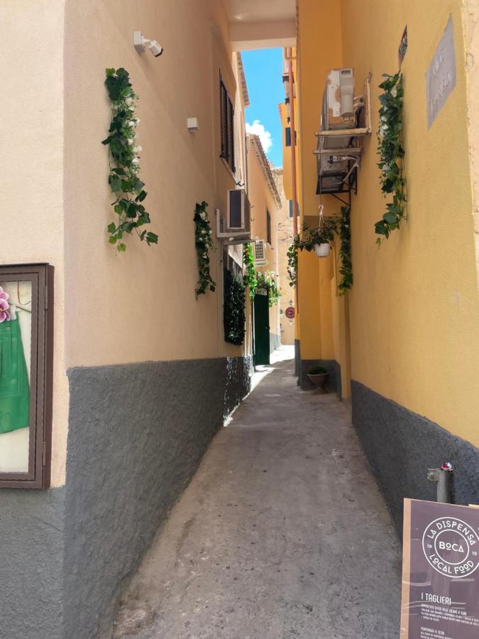 B&B Palazzo Campisi photo