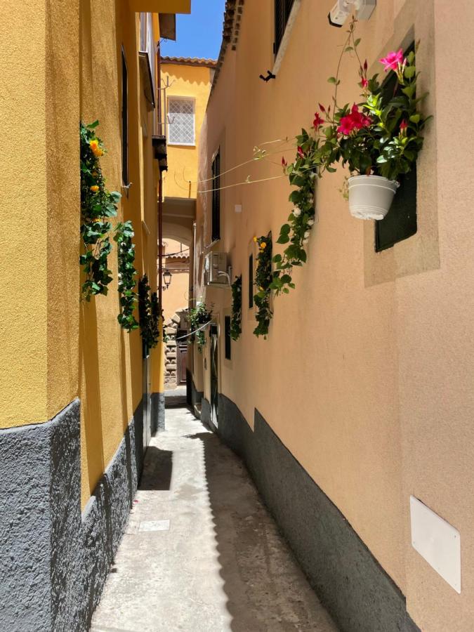 B&B Palazzo Campisi photo