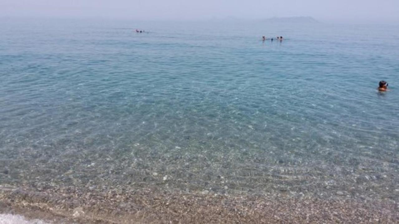 Sangiorgii photo