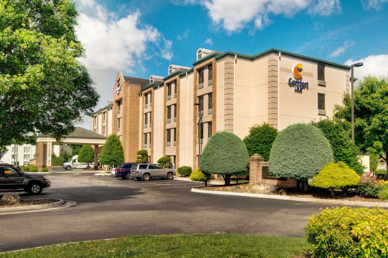 Airport Inn Efficiencies — photo 7
