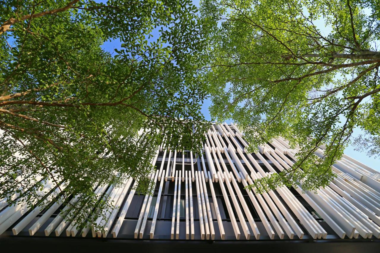 Blu Monkey Bed & Breakfast