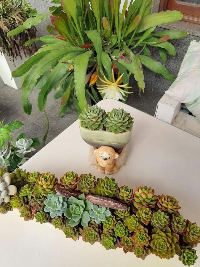 Guesthouse A Lareira - 3