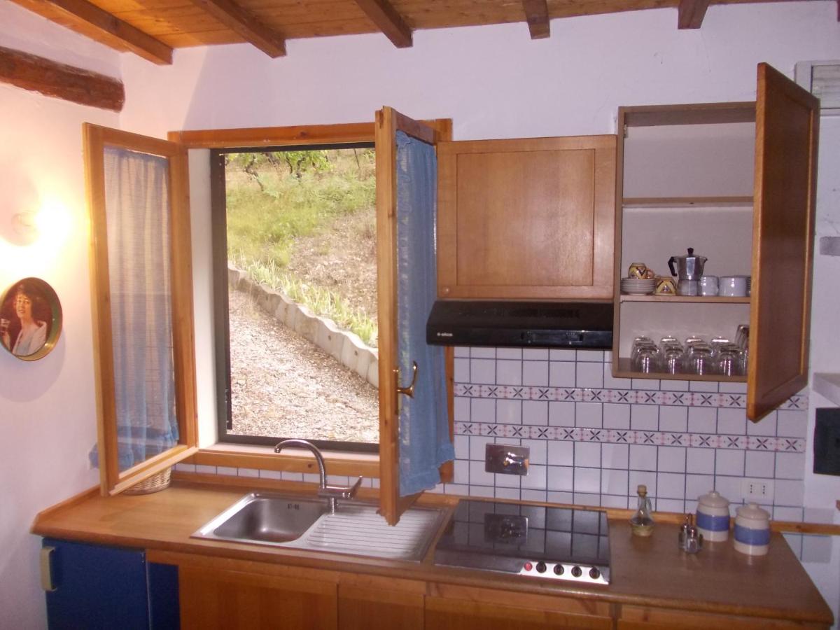 Agriturismo Lucciano - 3