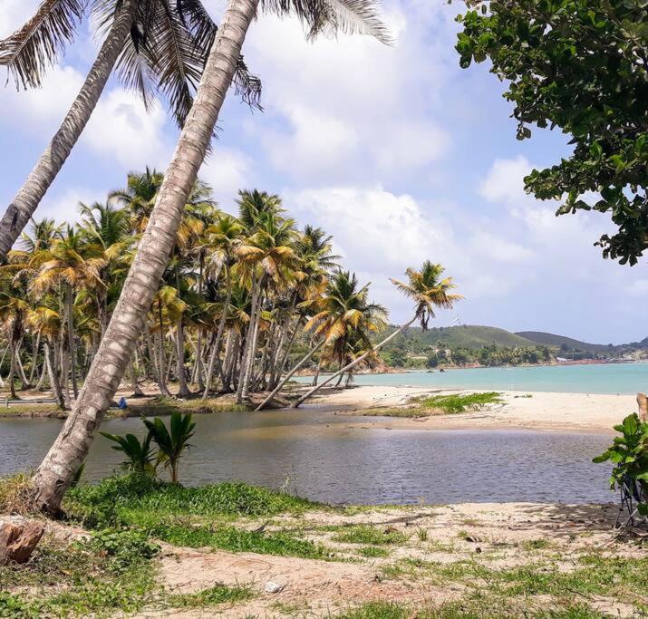 Swim & Paint Art Retreat - 5