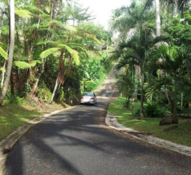 Swim & Paint Art Retreat - 2