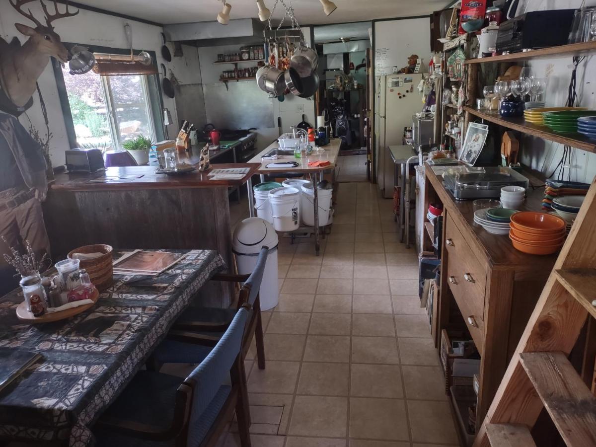 Buffalo Bungalow — photo 4